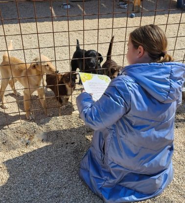volonteri učenici oš šime budinić čitaju psima azil zadar 4
