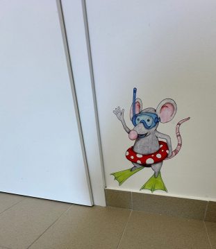 497875263_1226064612863459_3025191986143006404_n