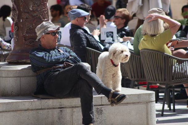 špica zadar 170525 27