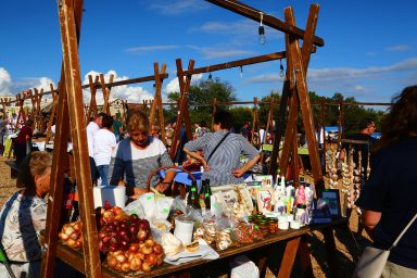 503140419_1171146845057749_5205698533984356718_n