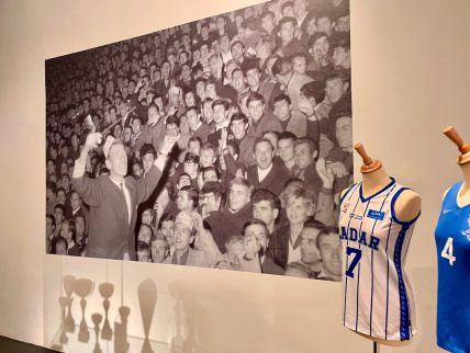 DANI krešimira ćosića 6