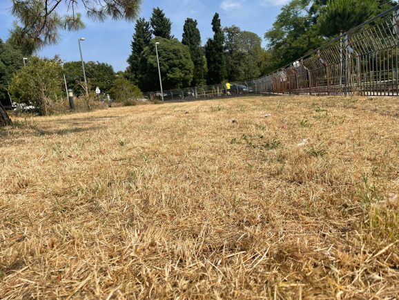 WhatsApp Image 2025-06-16 at 10.33.06 (1)