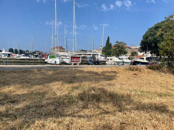 WhatsApp Image 2025-06-16 at 10.33.06