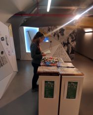 knjižnica police book 3