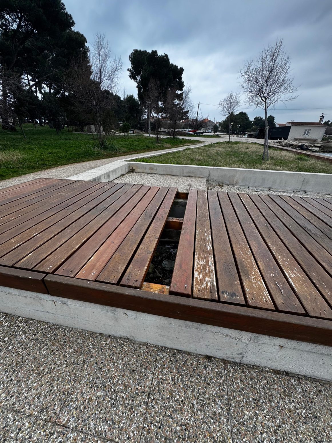 suncaliste punta bajlo 4 (1)