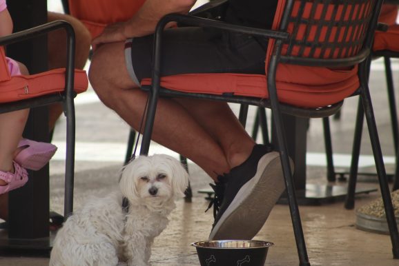 zadar špica sunčano proljeće turisti kalelarga riva forum narodni trg 72