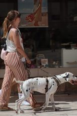 zadar špica sunčano proljeće turisti kalelarga riva forum narodni trg 85