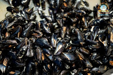 524938791_1051010947221663_6217300910851873982_n