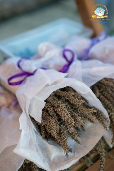 525098268_1050999650556126_3096558220394603733_n