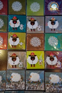 525616978_1050999203889504_9054368352301782699_n