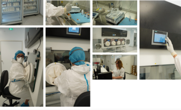 Snimka zaslona (201)