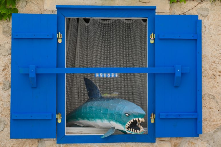 novalja mladen kušec djeca prozor ponistra škure