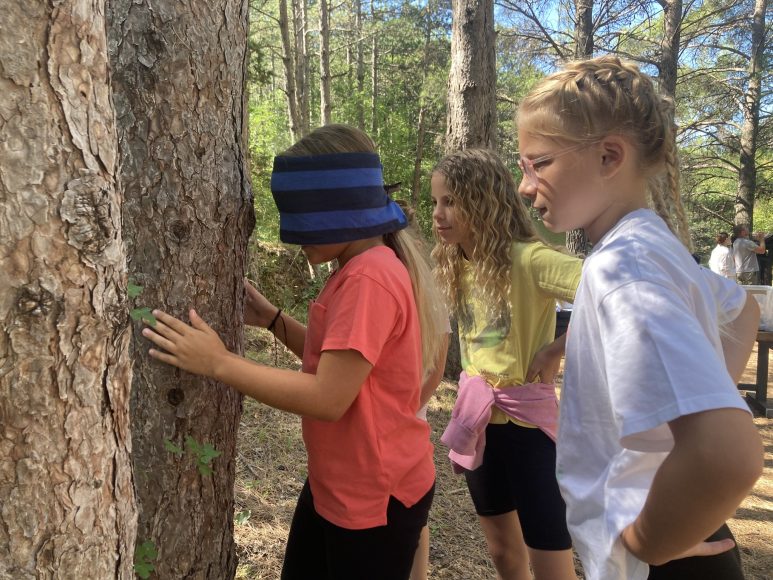 np paklenica radionica 4