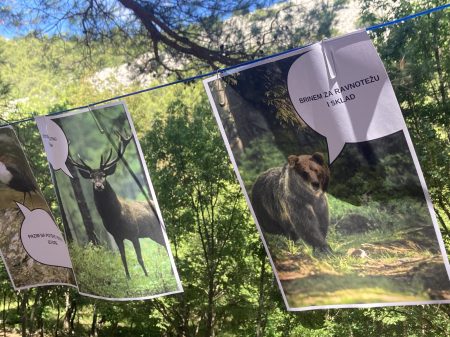 np paklenica radionica