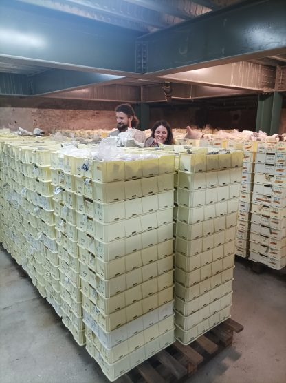 odjel za arheologiju zadar 2