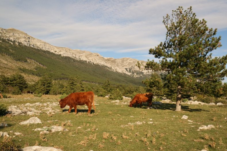 pd paklenica planinari markacistička sekcija 10