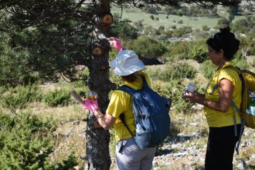 pd paklenica planinari markacistička sekcija 8