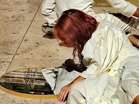 IMG_20250828_110806_resized_20250828_111325865