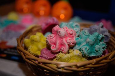 VRSI - 06.08.2025 - Vrška ćakula 2025