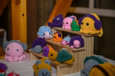 VRSI - 06.08.2025 - Vrška ćakula 2025