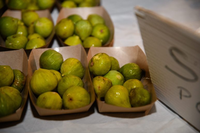 VRSI - 06.08.2025 - Vrška ćakula 2025