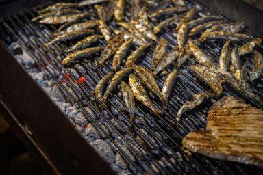 VRSI - 06.08.2025 - Vrška ćakula 2025