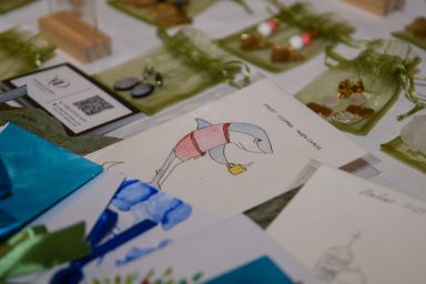 VRSI - 06.08.2025 - Vrška ćakula 2025