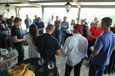 župan vinograd grožđe bilaver 13