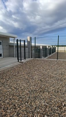 20250916_083316_resized