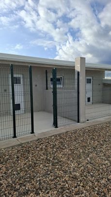 20250916_083318_resized