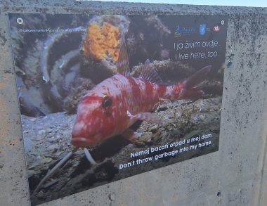 PRIVLAKA EKO POSTER 2