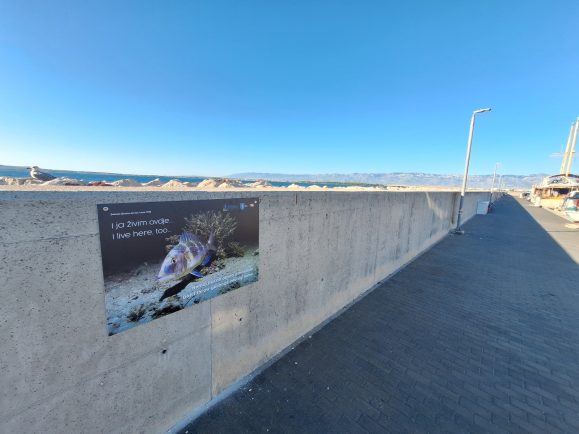 PRIVLAKA EKO POSTER 4