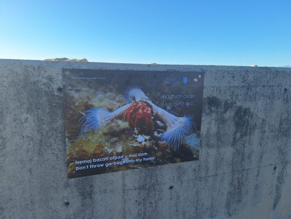 PRIVLAKA EKO POSTER 5