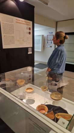 arheološki izložba 7