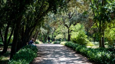 park-Vladimira-Nazora-FOTO-Linda-Vidovic-31-7-2024-24