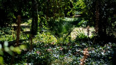 park-Vladimira-Nazora-FOTO-Linda-Vidovic-31-7-2024-27