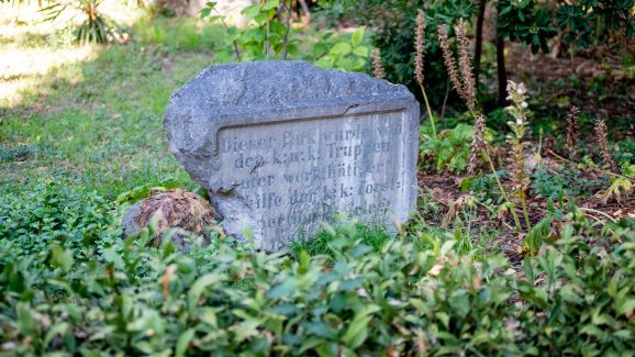 park-Vladimira-Nazora-FOTO-Linda-Vidovic-31-7-2024-4