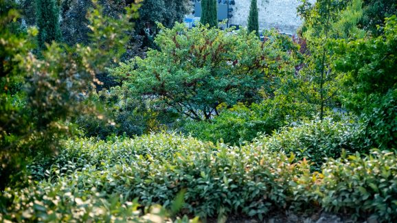 perivoj-kraljice-jelene-FOTO-Linda-Vidovic-18