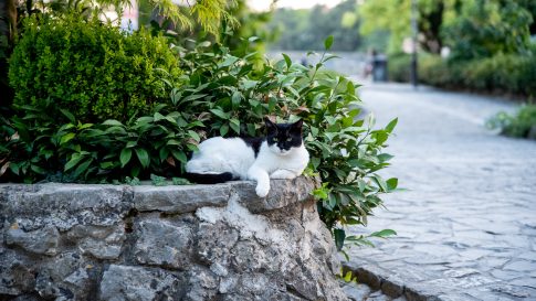 perivoj-kraljice-jelene-FOTO-Linda-Vidovic-25