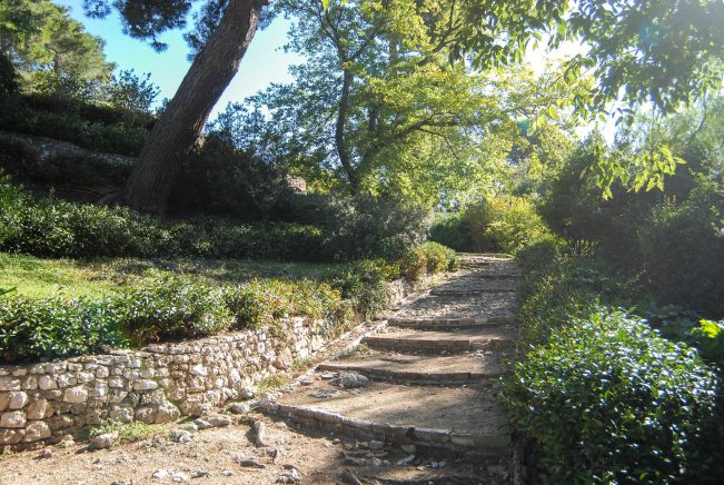 perivoj-kraljice-jelene