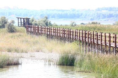 ptice ptica park prirode vransko jezero jesen suton zora 4