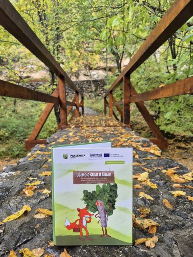 PAKLENICA PRIRUČNIK