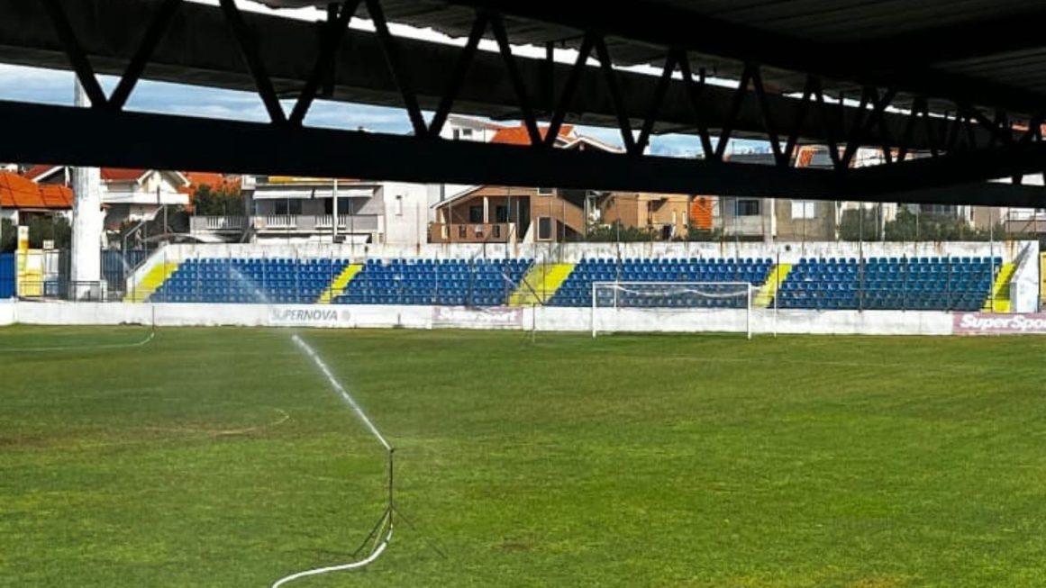 Untitled design(374)