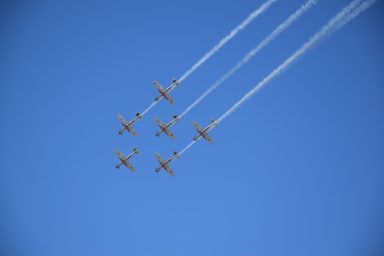 ZEMUNIK DAMIR KRSTIČEVIĆ 13 KRILA OLUJE