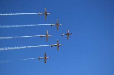 ZEMUNIK DAMIR KRSTIČEVIĆ KRILA OLUJE 2