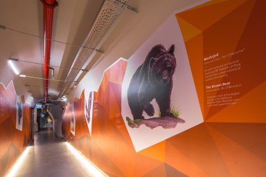 NP PAKLENICA PODZEMNI GRAD 2