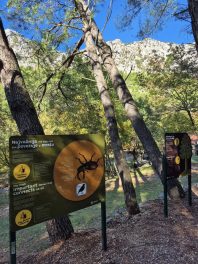 np paklenica šumska učionica 2