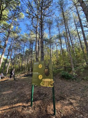 np paklenica šumska učionica 7