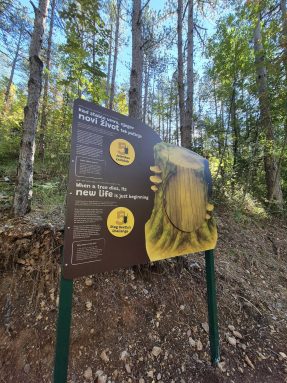 np paklenica šumska učionica 8