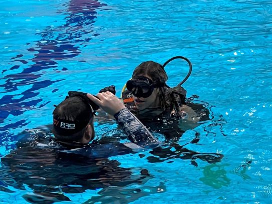 špud ronjenje višnjik 13